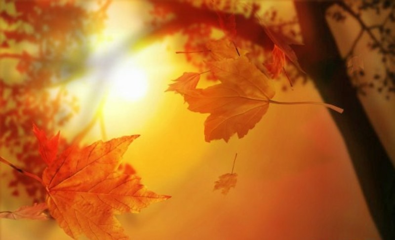 Конец лета-конец света