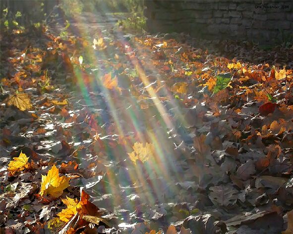 Словно письма ниоткуда...