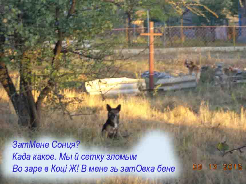 Паследния навины ат врага