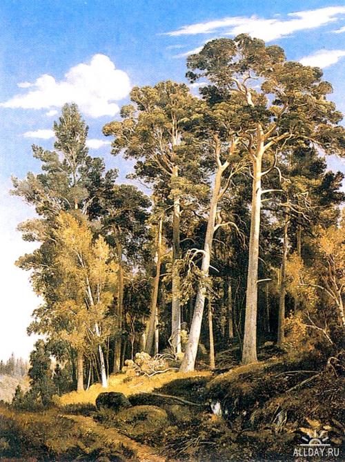 Анекдот про хороший лес на картинах