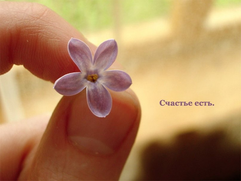 На исходе лета...