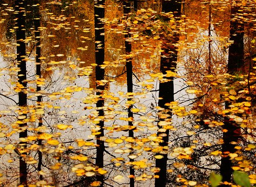 Мы с тобою не встречались