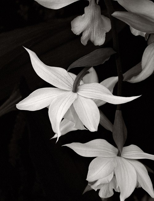 Цените жизни каждый миг