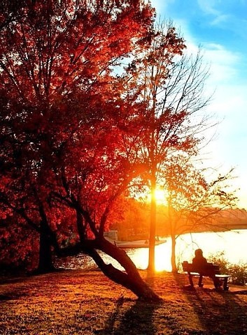 Осенняя пора