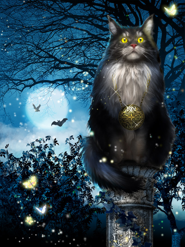 Про Учёного Кота... ч. 1