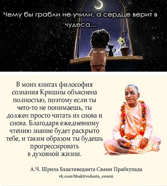 Чему б нас грабли не учили