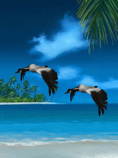 Земного рая не бывает