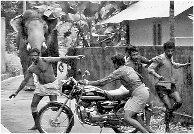 Подношение критикам вайшнавов