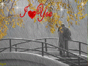 Осенний дождик