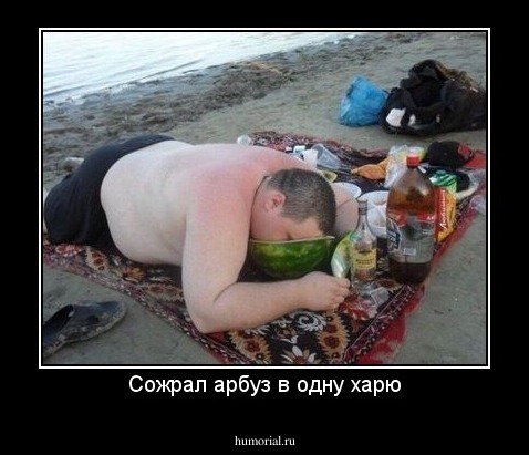 В одну харю