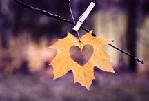 Что суждено