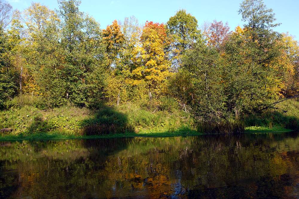 На дремучей поляне (Сергей Карпеев 3) / Стихи.ру