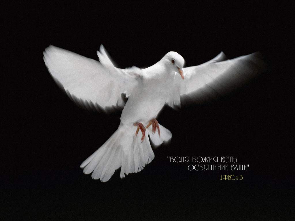 Гигиена души