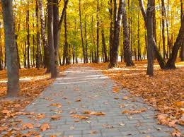 Осенняя прогулка