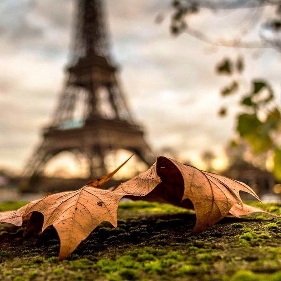 Париж осенью красивые