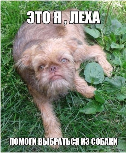 Эх в какую Леха я халепу попал