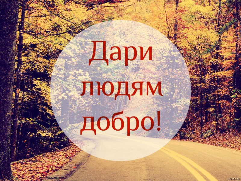 Совсем немного доброты