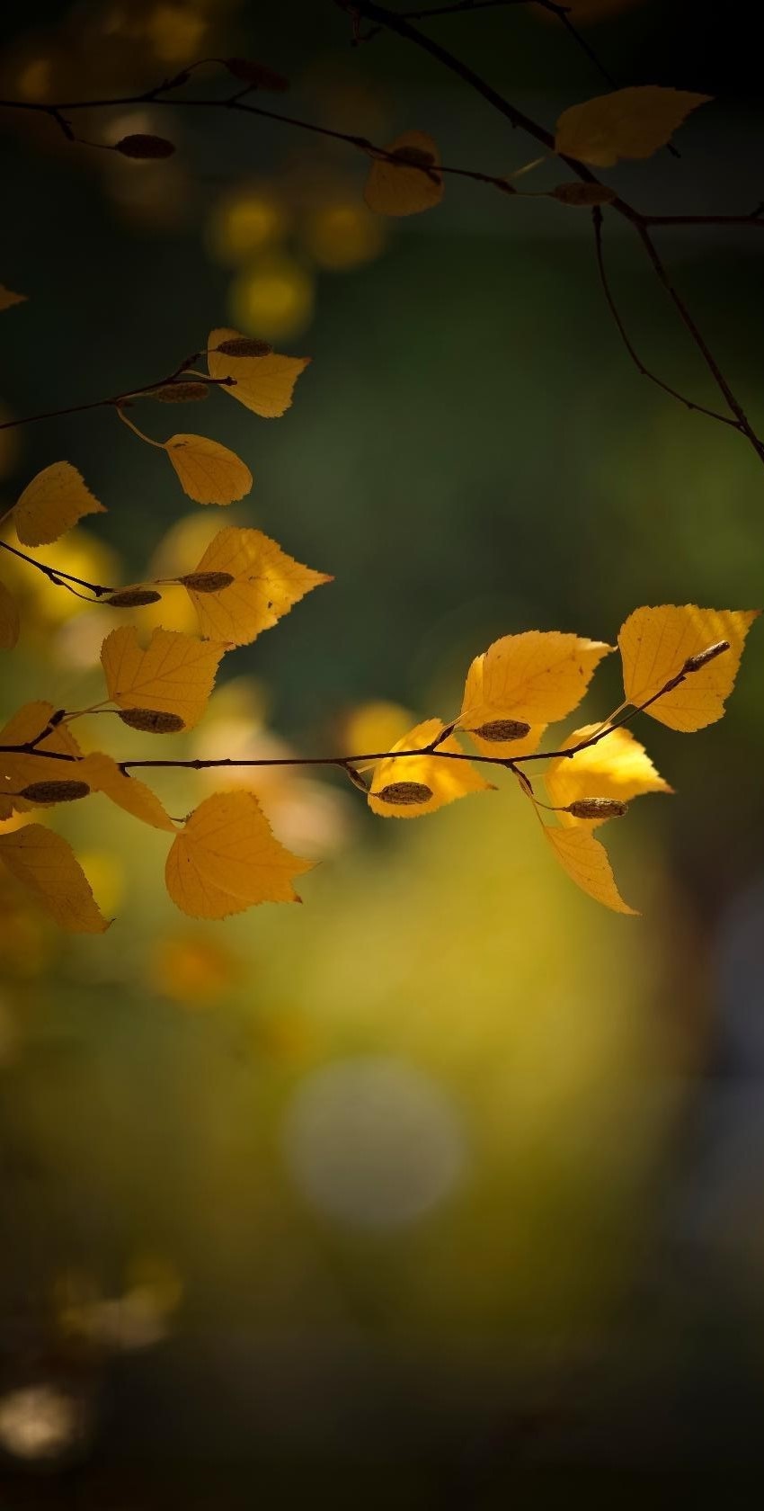 Никаких вопросов