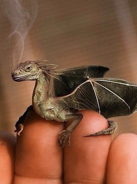 В королевстве зеркал волшебных