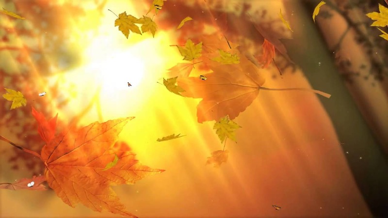 Лови деньки осенние