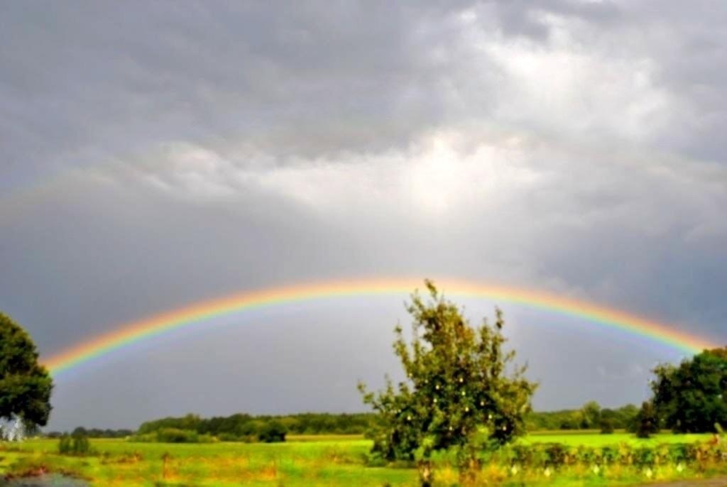 Весть с планеты Ангелов