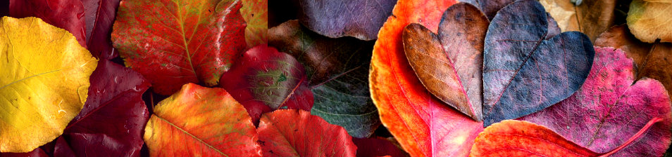 За окнами осень