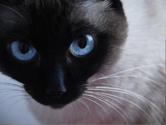 Порывы души гасят презервативы