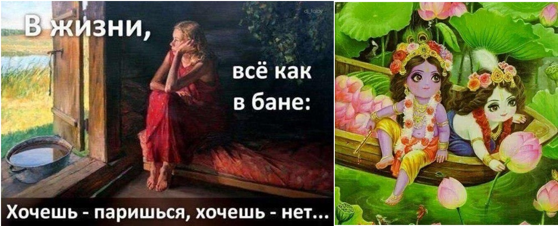 Жизнь как в бане это вовсе не бред