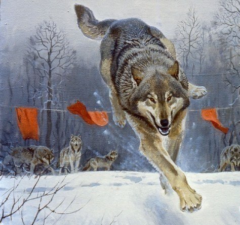 Под прицелом