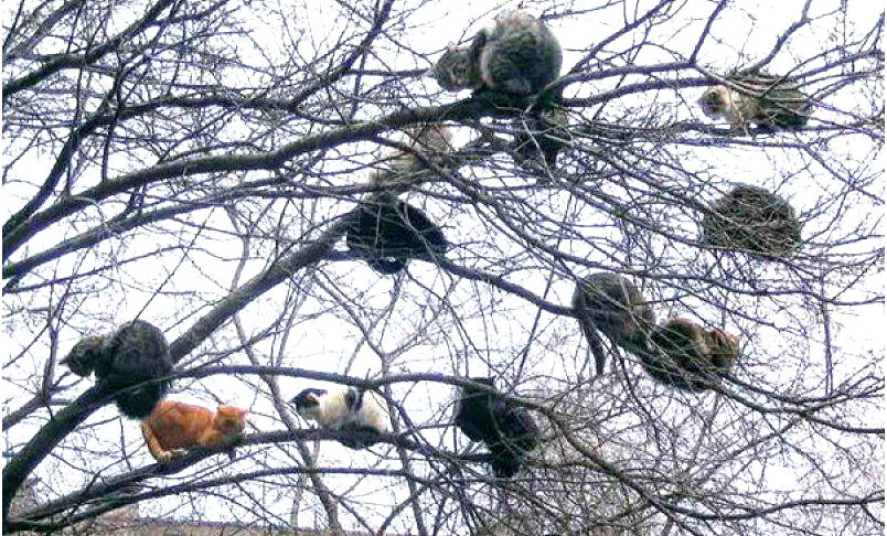 Эквилибристы... Людмила Юферова