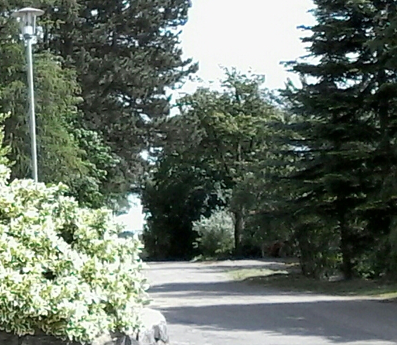 с 1 на 2