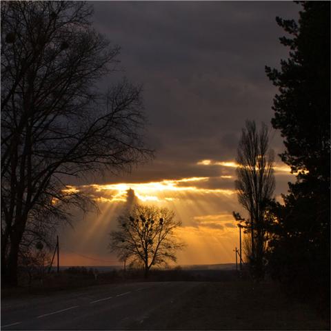 Прощальный миг... Из Людмилы Юферовой