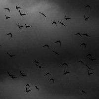 Осень, ты все еще статью кичишься?