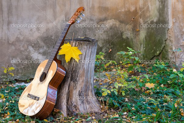 Струны осени