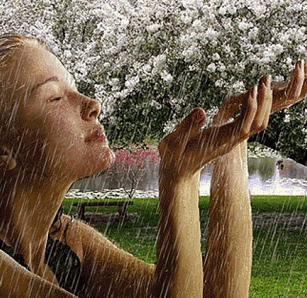 Весенний дождь