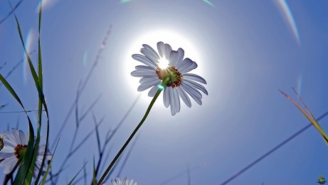 Просыпайся, душа