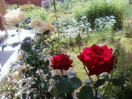 Остановись, мгновенье