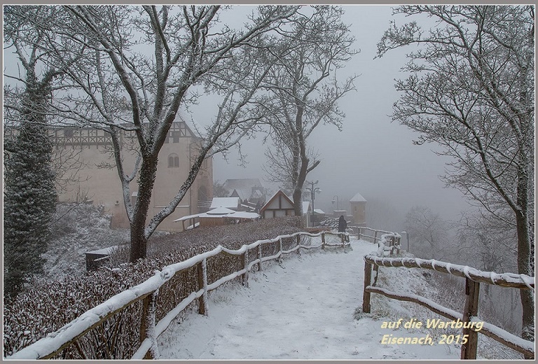 Лёгкие дорожки