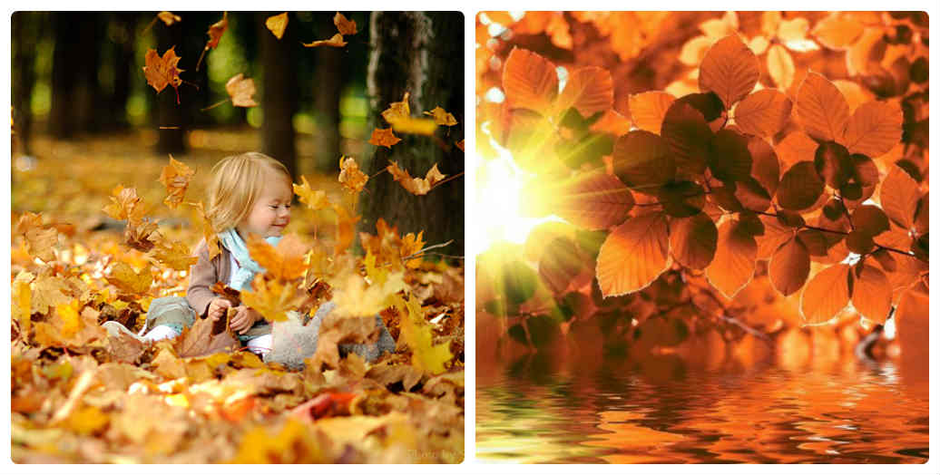 Девчонка - осень