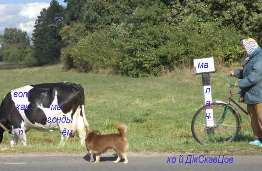 Идэ усэ по маслу. Тато зном