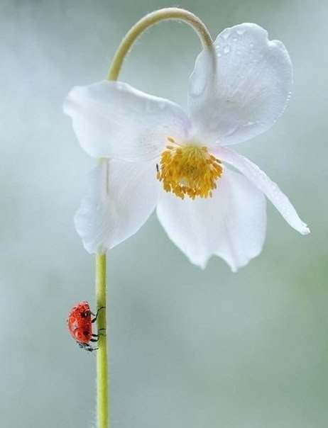 Нет больше хаты