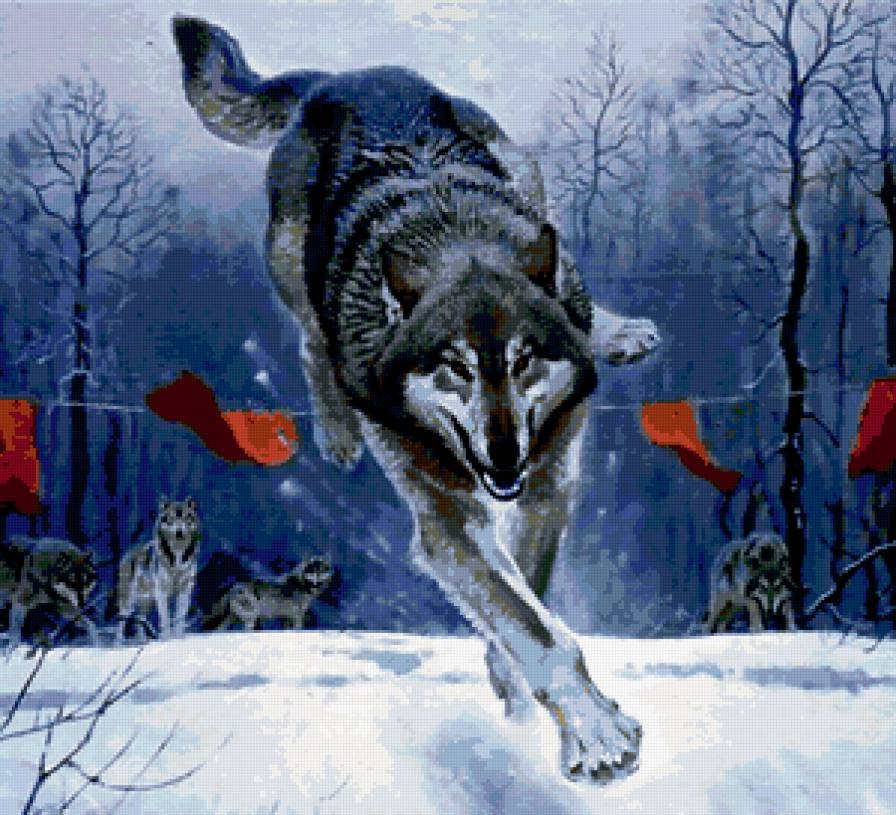 стих про охоту волка