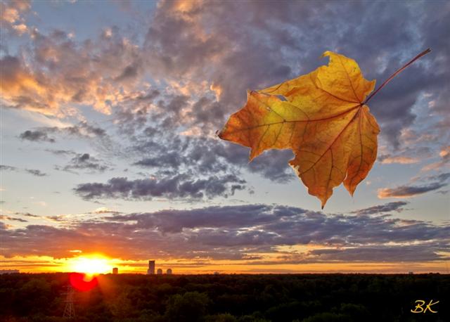 Вот так закат... Из Людмилы Юферовой