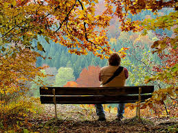 Последние теплые дни октября