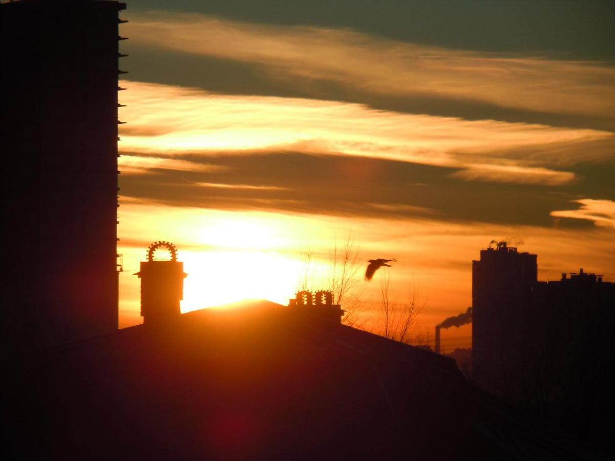 Закат ещё дремлет над вянущим лугом