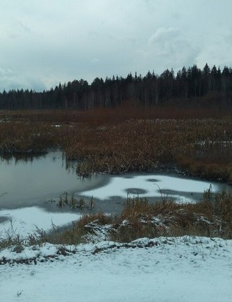 На белую волю