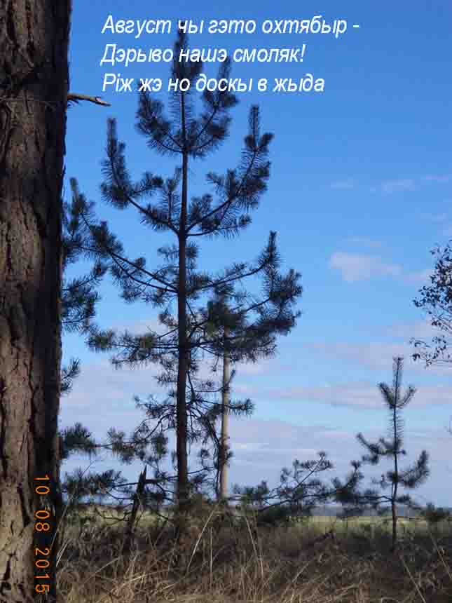 У в нас ув хаци цёпла вш!