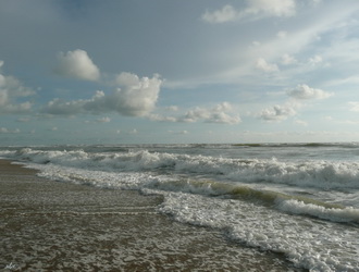 все бьется сердце океана