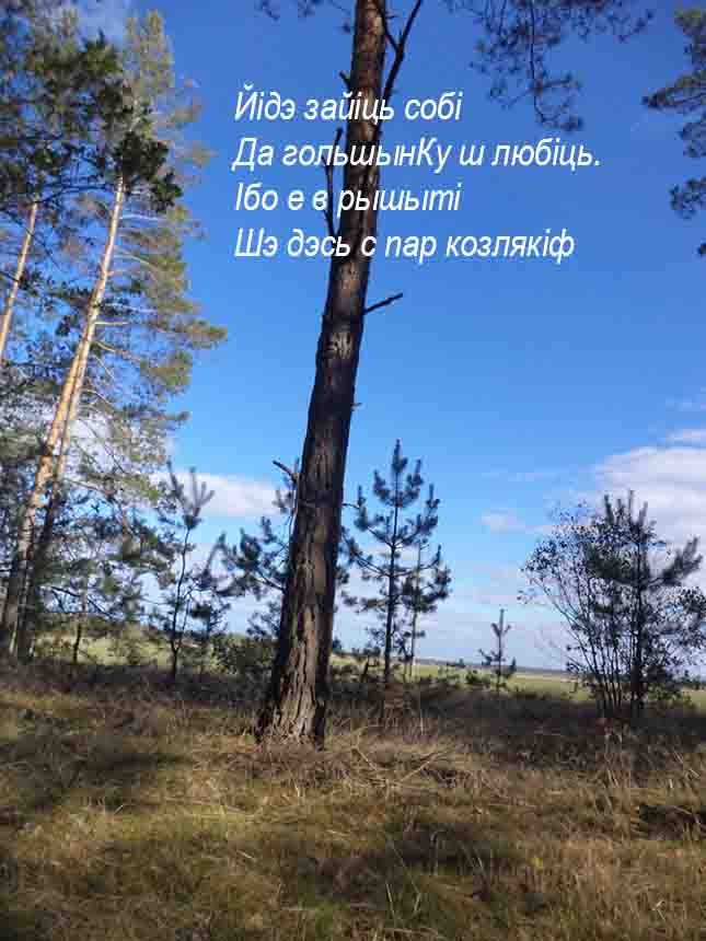 Мы тут гондэ пойихав на Лысую гору