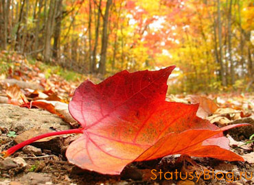 Время осени